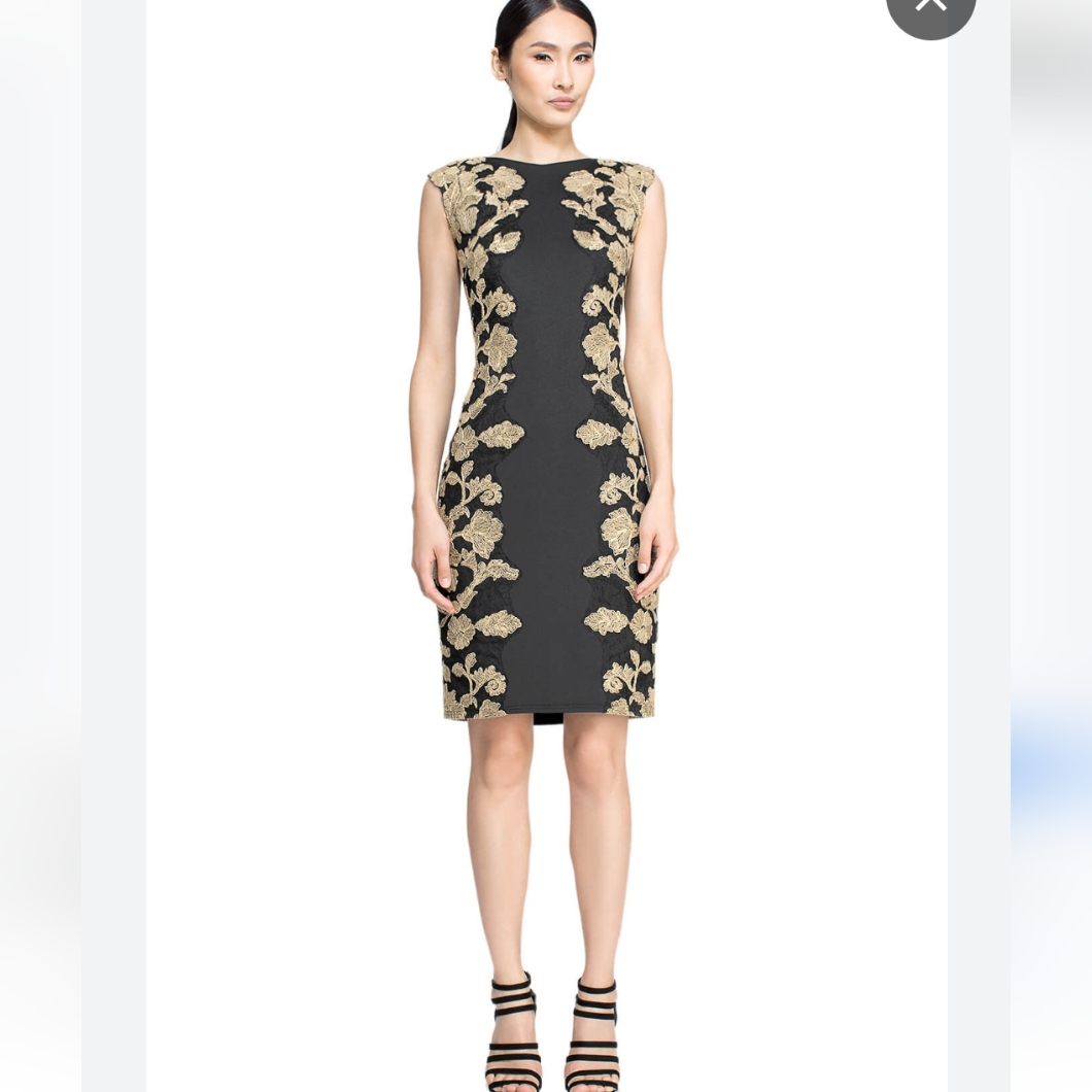 Tadashi Shoji Kami Dress Black & Gold Knee Length Sleeveless Size 6 Petite